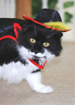 4153138069_8119222d26_z